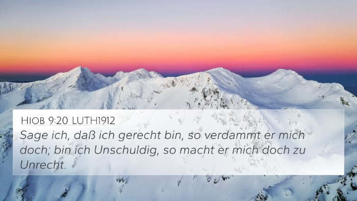 Hiob 9:20 LUTH1912 Bible Verse Image
