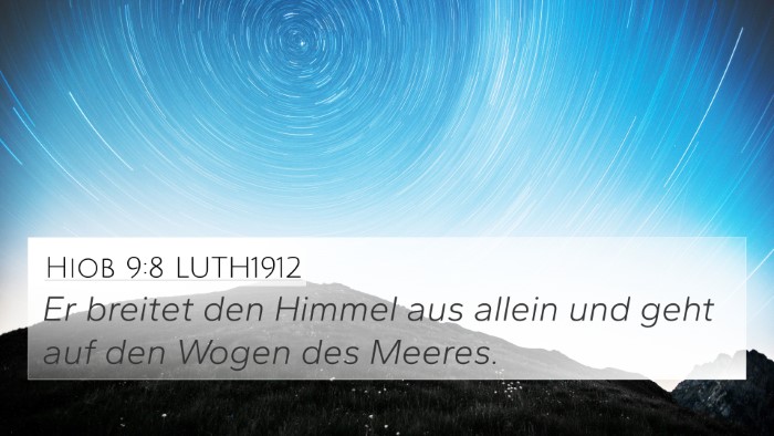 Hiob 9:8 LUTH1912 Bible Verse Image
