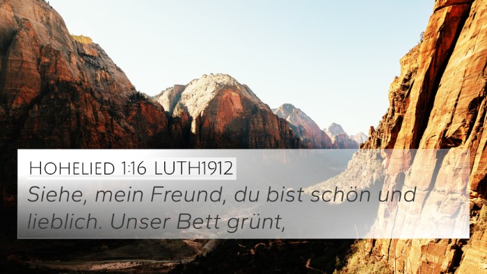 Hohelied 1:16 LUTH1912 Bible Verse Image