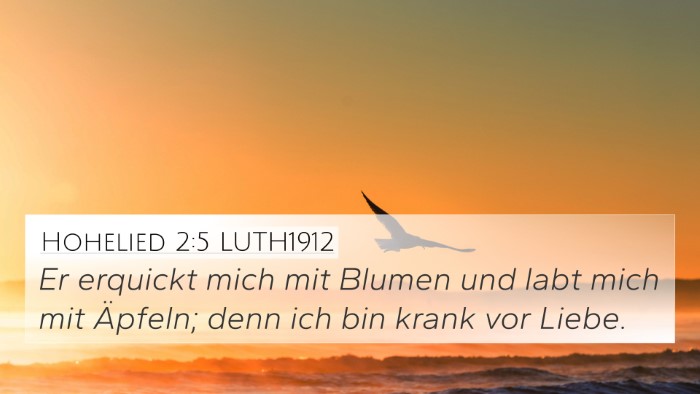 Hohelied 2:5 LUTH1912 Bible Verse Image