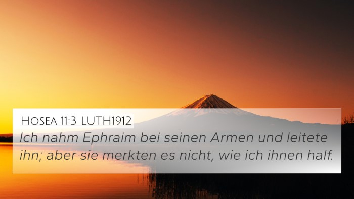 Hosea 11:3 LUTH1912 4K Wallpaper - Ich nahm Ephraim bei seinen Armen und leitete - 4K Wallpaper Bible Verse