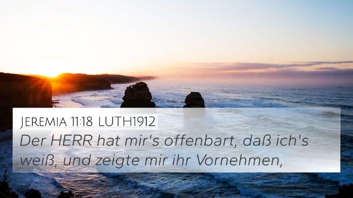 Jeremia 11:18 LUTH1912 Bible Verse Image
