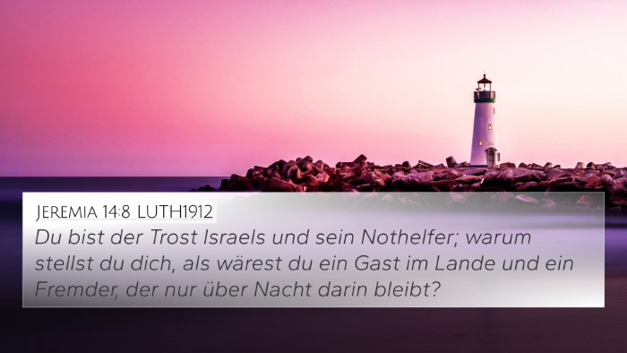 Jeremia 14:8 LUTH1912 Bible Verse Image