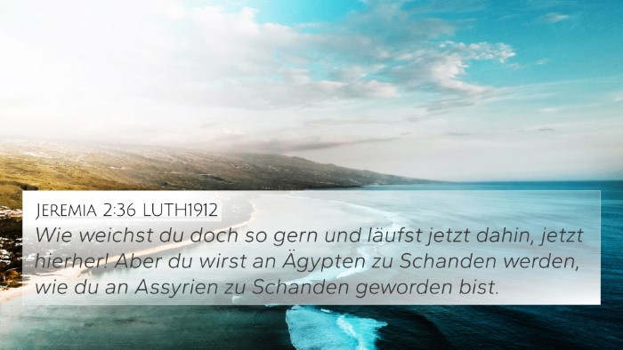 Jeremia 2:36 LUTH1912 Bible Verse Image