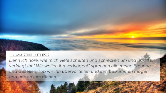 Jeremia 20:10 LUTH1912 Bible Verse Image