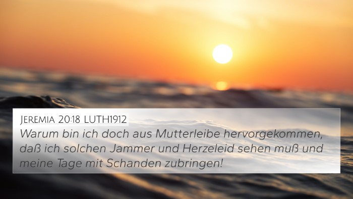 Jeremia 20:18 LUTH1912 Bible Verse Image
