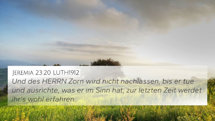 Jeremia 23:20 LUTH1912 Bible Verse Image