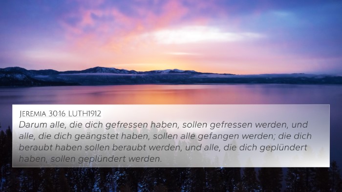 Jeremia 30:16 LUTH1912 Bible Verse Image