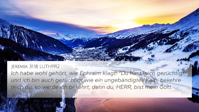 Jeremia 31:18 LUTH1912 Bible Verse Image