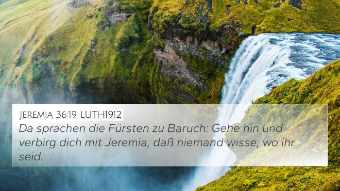 Jeremia 36:19 LUTH1912 Bible Verse Image
