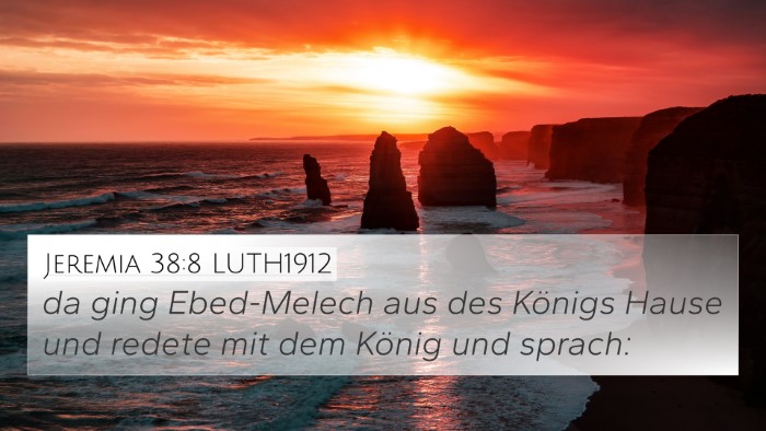 Jeremia 38:8 LUTH1912 Bible Verse Image