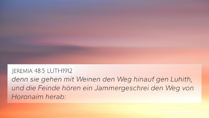 Jeremia 48:5 LUTH1912 Bible Verse Image