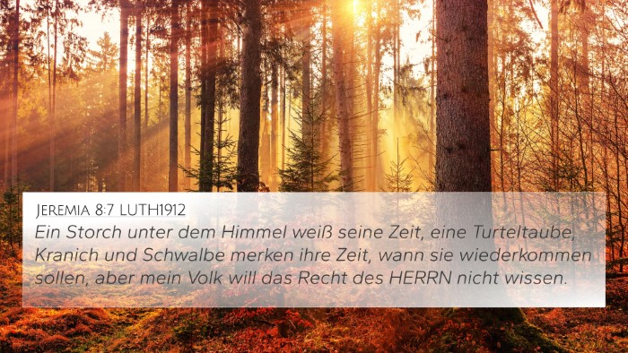 Jeremia 8:7 LUTH1912 Bible Verse Image