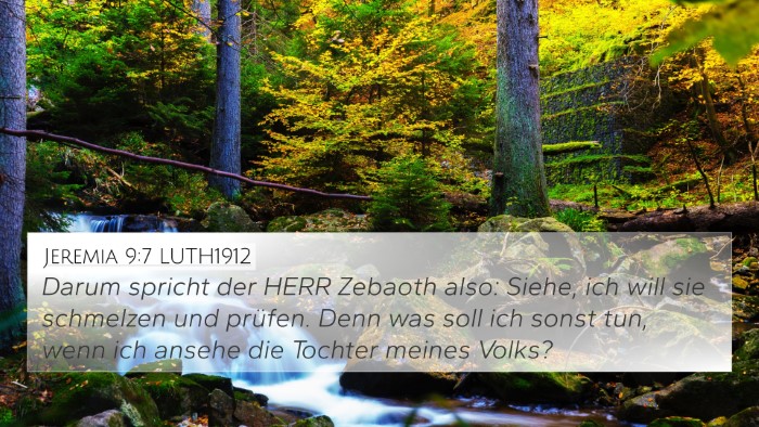 Jeremia 9:7 LUTH1912 Bible Verse Image