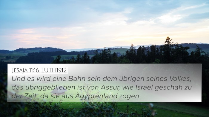Jesaja 11:16 LUTH1912 Bible Verse Image