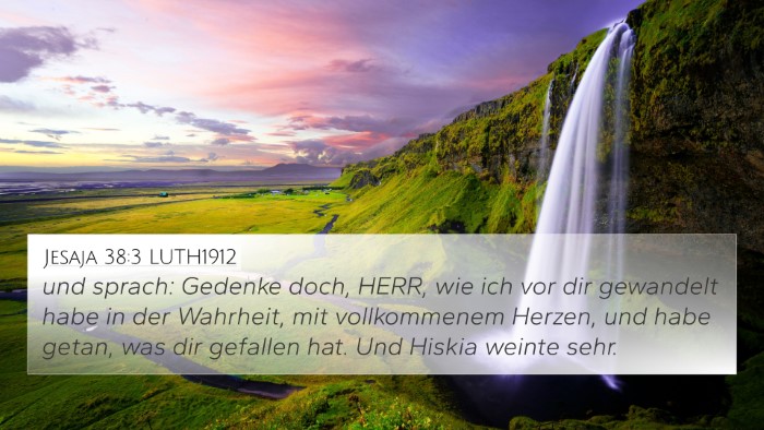 Jesaja 38:3 LUTH1912 Bible Verse Image