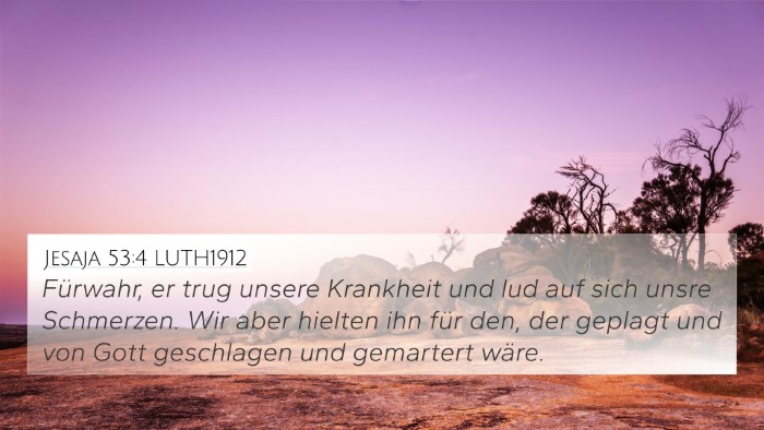Jesaja 53:4 LUTH1912 Bible Verse Image