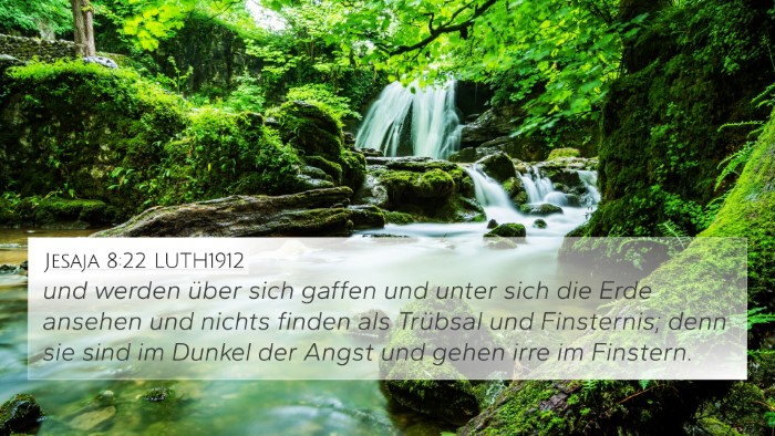 Jesaja 8:22 LUTH1912 Bible Verse Image