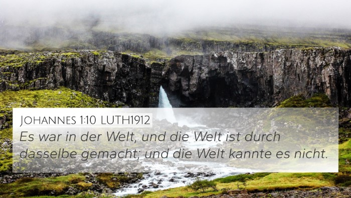 Johannes 1:10 LUTH1912 Bible Verse Image