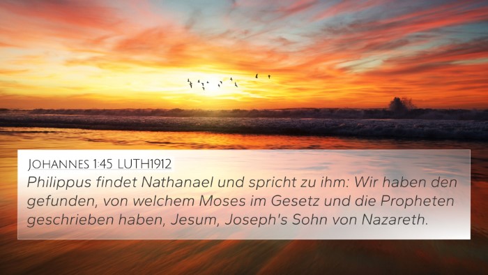 Johannes 1:45 LUTH1912 Bible Verse Image