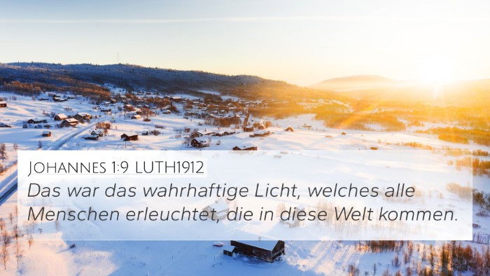Johannes 1:9 LUTH1912 Bible Verse Image
