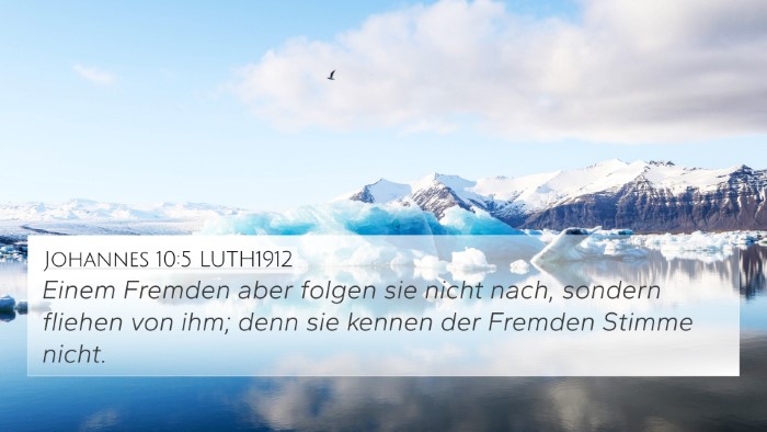 Johannes 10:5 LUTH1912 Bible Verse Image