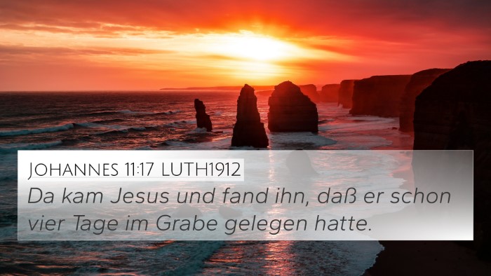Johannes 11:17 LUTH1912 Bible Verse Image