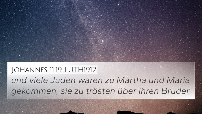 Johannes 11:19 LUTH1912 Bible Verse Image