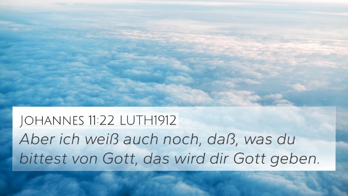 Johannes 11:22 LUTH1912 Bible Verse Image