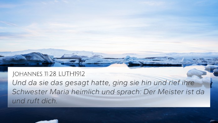 Johannes 11:28 LUTH1912 Bible Verse Image