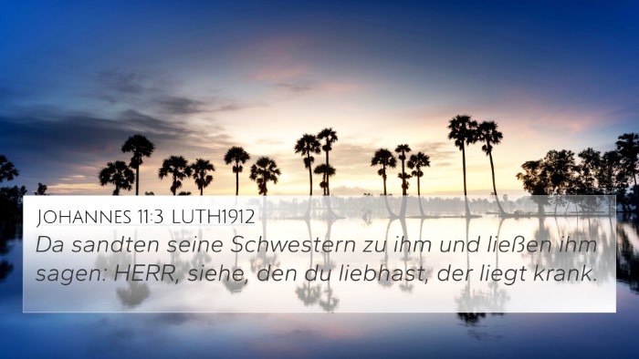 Johannes 11:3 LUTH1912 Bible Verse Image