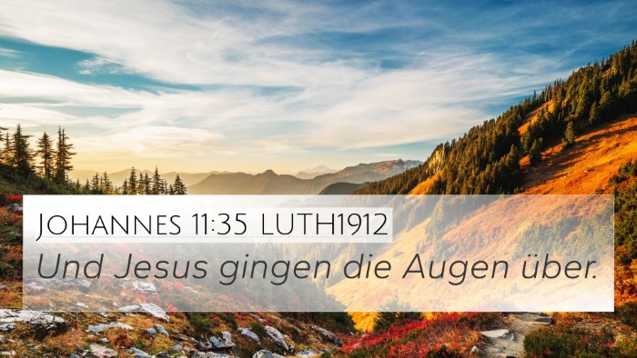 Johannes 11:35 LUTH1912 Bible Verse Image