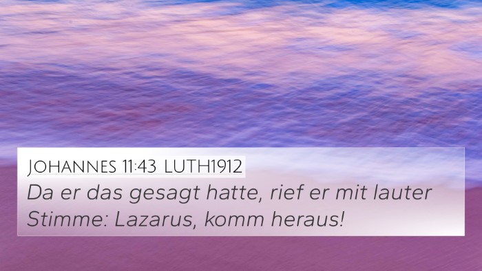 Johannes 11:43 LUTH1912 Bible Verse Image