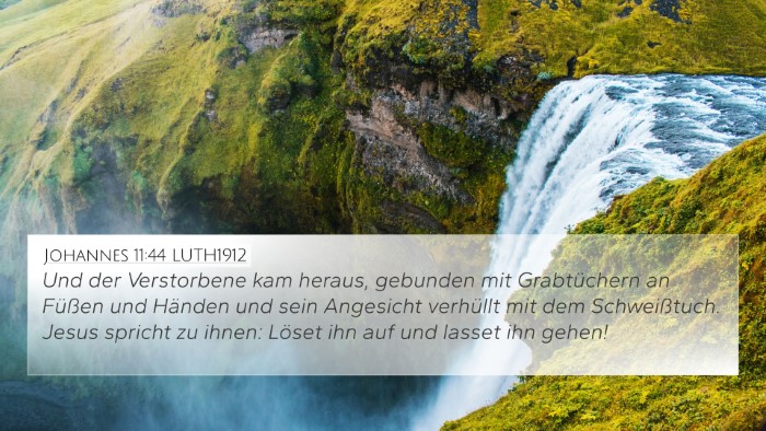 Johannes 11:44 LUTH1912 Bible Verse Image