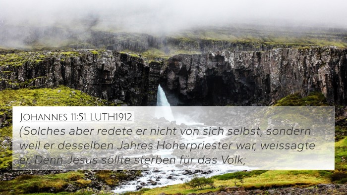 Johannes 11:51 LUTH1912 Bible Verse Image