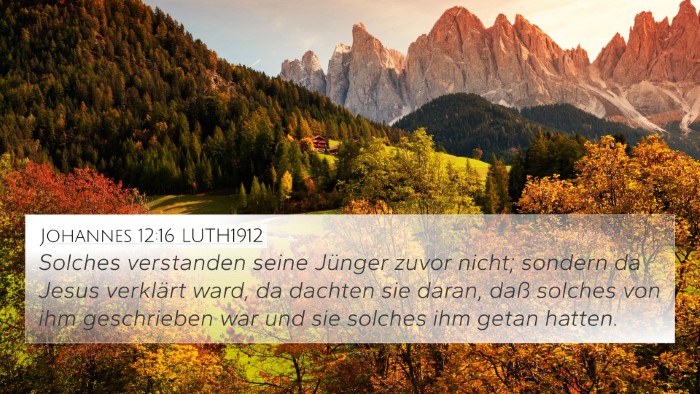 Johannes 12:16 LUTH1912 Bible Verse Image
