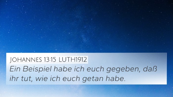 Johannes 13:15 LUTH1912 Bible Verse Image