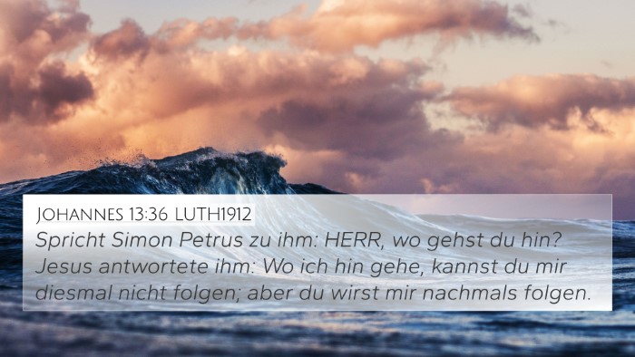 Johannes 13:36 LUTH1912 Bible Verse Image