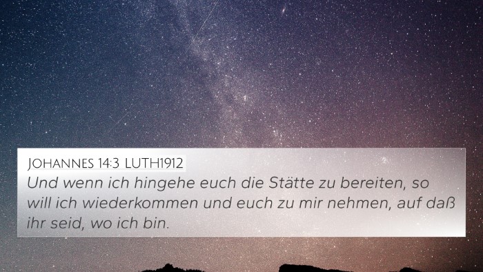 Johannes 14:3 LUTH1912 Bible Verse Image