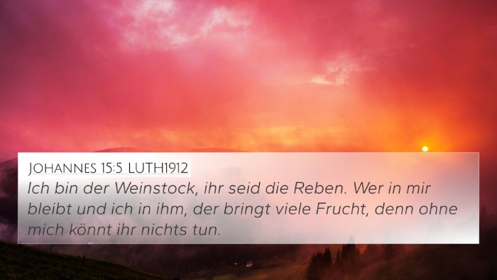 Johannes 15:5 LUTH1912 Bible Verse Image