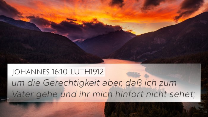 Johannes 16:10 LUTH1912 Bible Verse Image