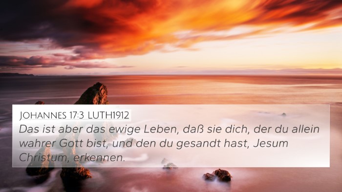 Johannes 17:3 LUTH1912 Bible Verse Image