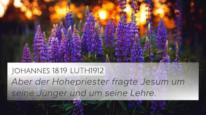 Johannes 18:19 LUTH1912 Bible Verse Image