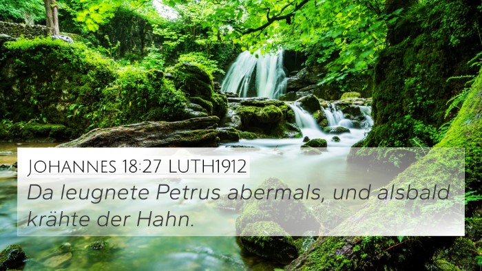 Johannes 18:27 LUTH1912 Bible Verse Image