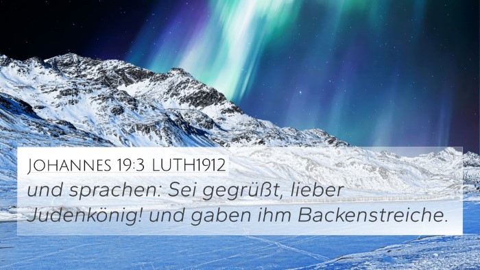 Johannes 19:3 LUTH1912 Bible Verse Image