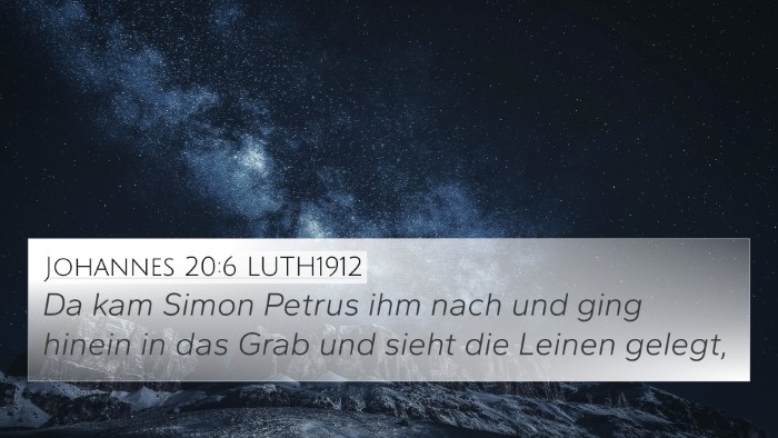 Johannes 20:6 LUTH1912 Bible Verse Image