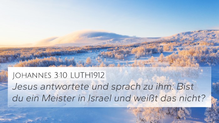 Johannes 3:10 LUTH1912 Bible Verse Image