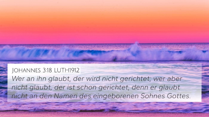 Johannes 3:18 LUTH1912 Bible Verse Image