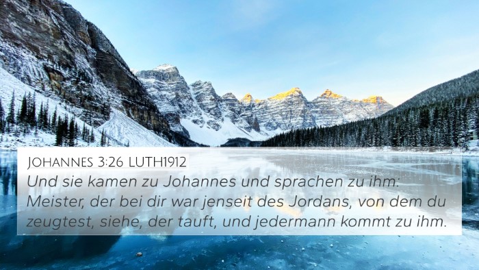 Johannes 3:26 LUTH1912 Bible Verse Image