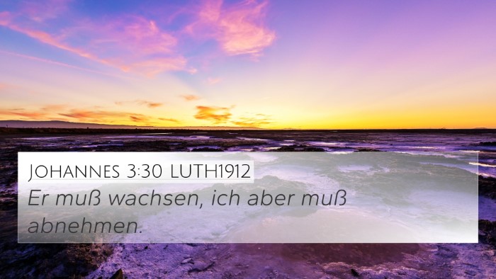 Johannes 3:30 LUTH1912 Bible Verse Image